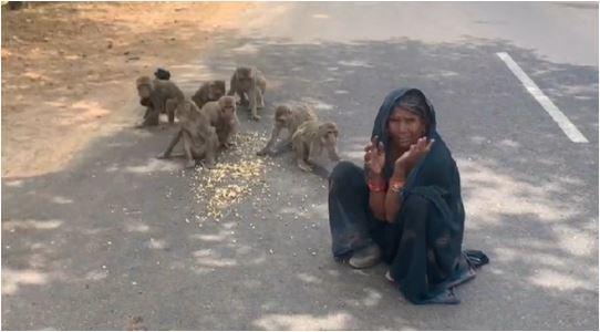 Raani urf Kushma serving Monkeys 