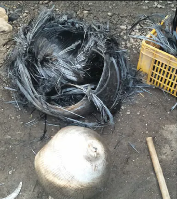 Metal Balls Fall From Sky In Gujarat