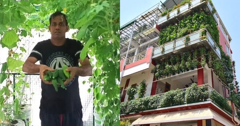 This Man Covered His 3-storey House In Uttar Pradesh With 10,000 Plants:  Here's Why