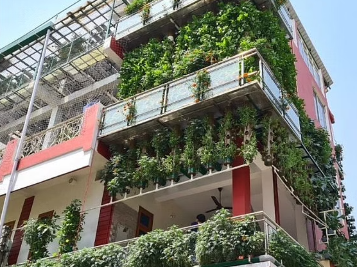 This Man Covered His 3-storey House In Uttar Pradesh With 10,000 Plants:  Here's Why