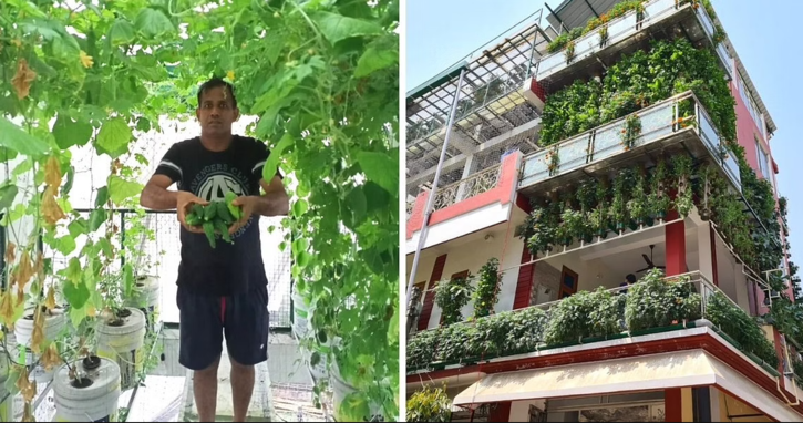 Ramveer SIngh doing Hydroponic Farming