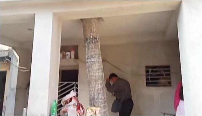 the man built the house without cutting the tree