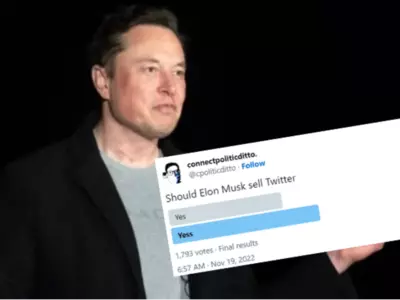 Twitter Users Mock Elon Musk With Random Polls