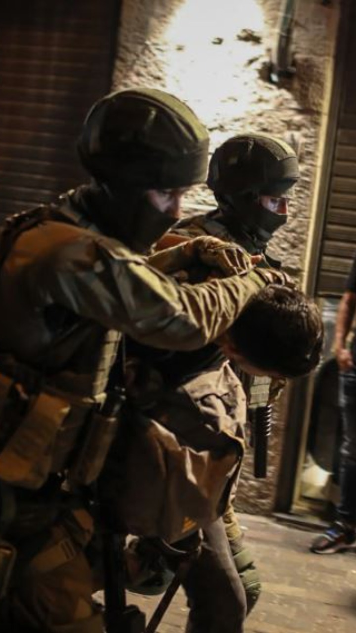 United Nations Partition Plan For Palestine: All You Need To Know