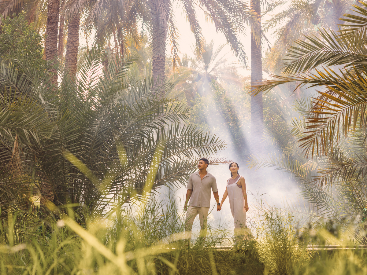 Experiences in Al Ain, Abu Dhabi