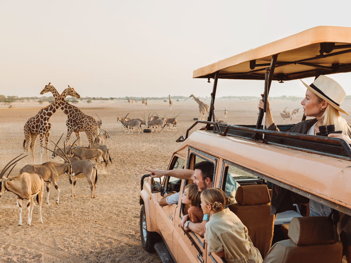 Experiences in Sir Bani Yas Island, Abu Dhabi