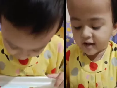Toddler Remembers Famous Personalities