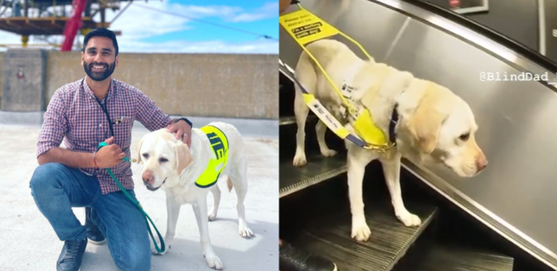 Blind Man's Guide Dog Helps Him Everyday 