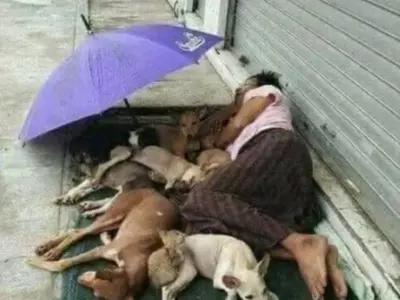 Homeless Man Helps Dogs