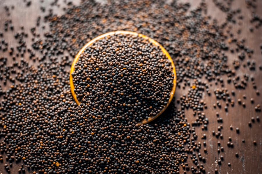 Mustard Oil, Allegedly Mixed With Argemone Seed Claims One Life In