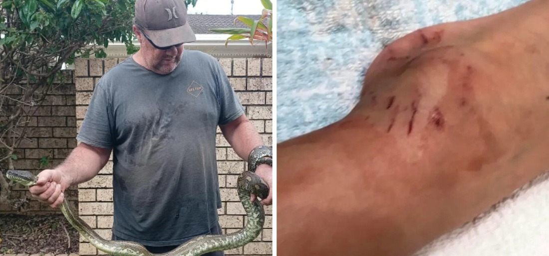 Python Attacks & Drags Five-Year-Old Boy Into Swimming Pool