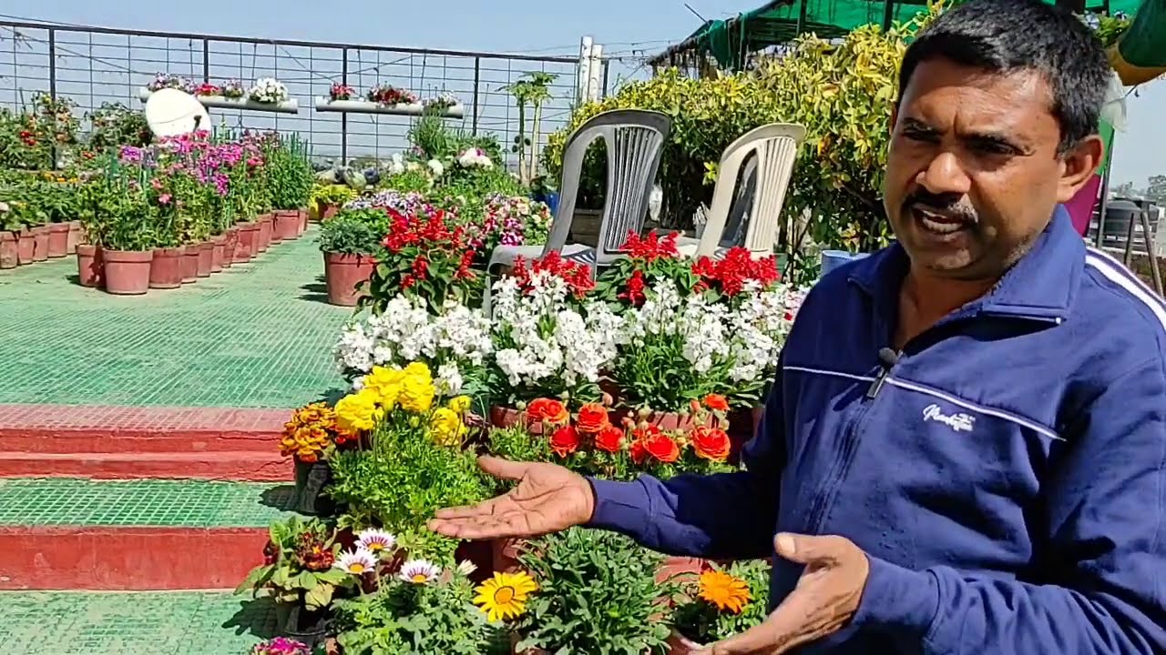 Ramvilas kitchen gardening  