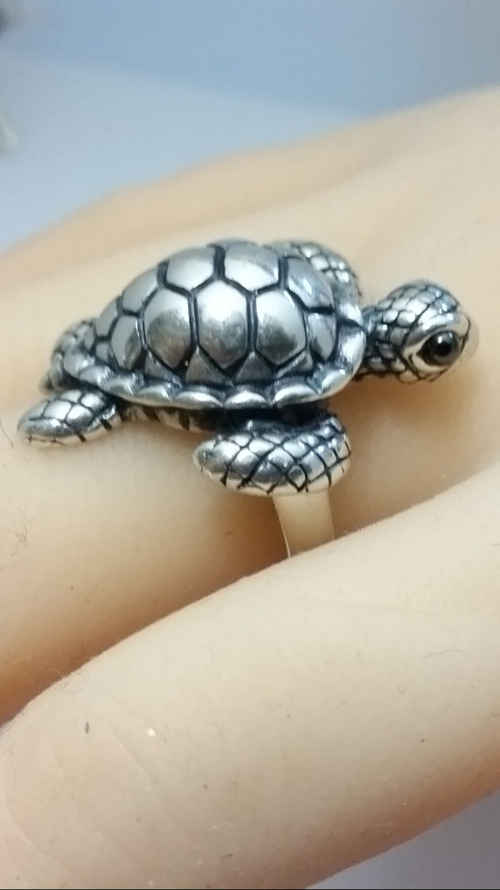 Turtle Ring Side Effects: इन 4 राशिवालों को कभी नहीं पहननी चाहिए कछुए वाली  अंगूठी, जीवन हो जाएगा बर्बाद