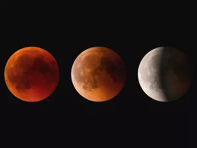 Why Does Our Moon Turn Blood Red During A Lunar Eclipse? NASA Explains