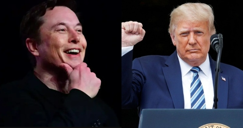 People Have Spoken Donald Trump Is Back On Twitter After Elon Musks Poll 