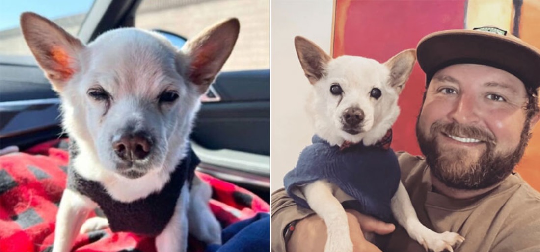 Meet Gino Wolf, The 22-Year-Old World's Oldest Living Dog