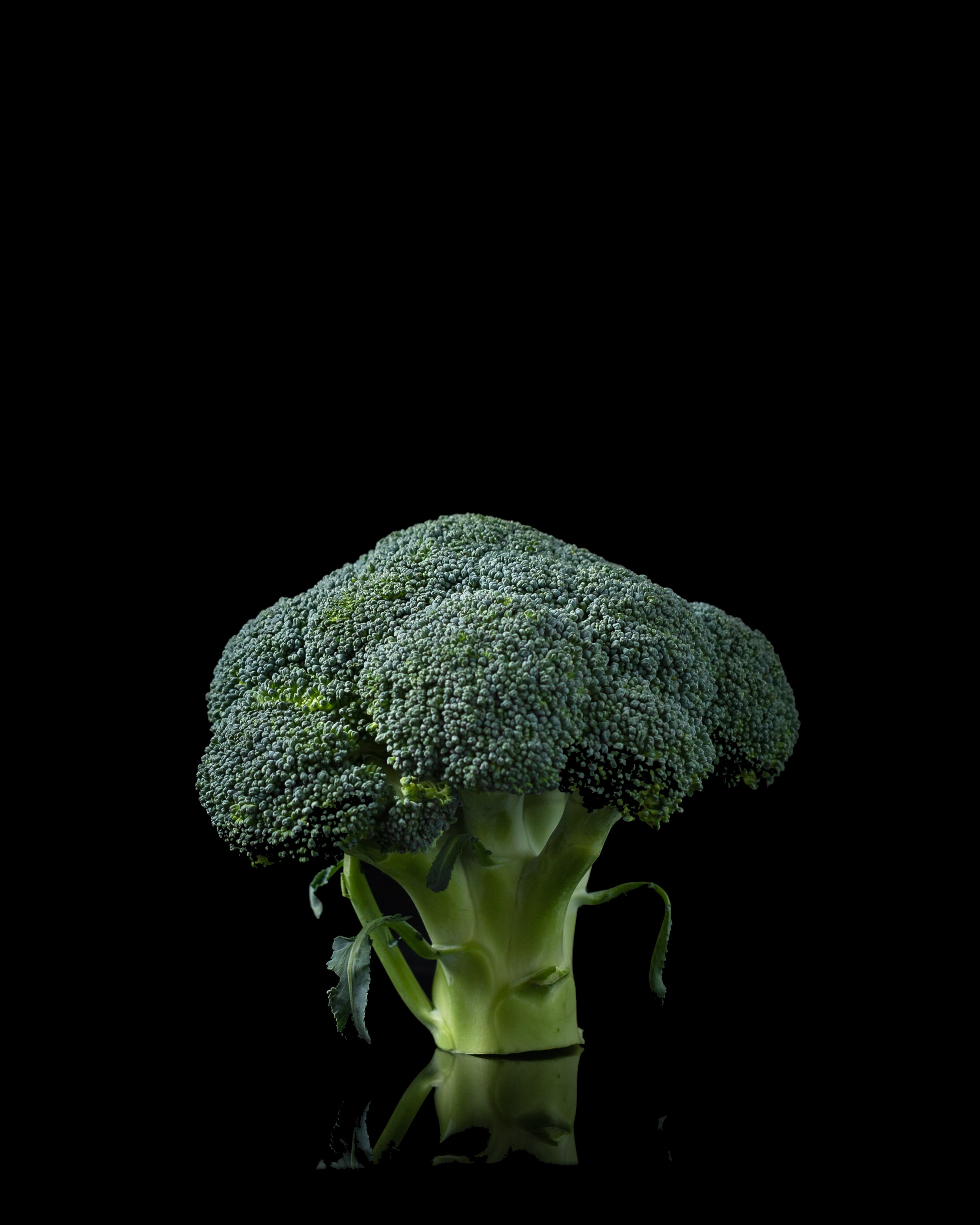 Broccoli Emits Gas That Can Point To Existence Of Life On Alien