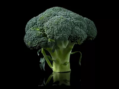 Broccoli Emits Gas That Can Point To Existence Of Life On Alien Planets