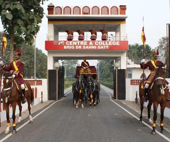 Army Retired Dogs Await Adoption