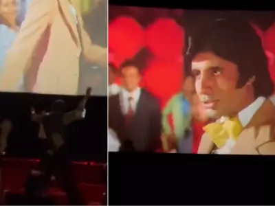 People Dances And Cheers To Amitabh Bachchan's 'Don' At PVR Like Rock Concert, Video Goes Viral