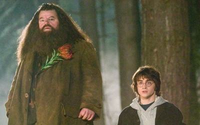 Coolest Hagrid Costume