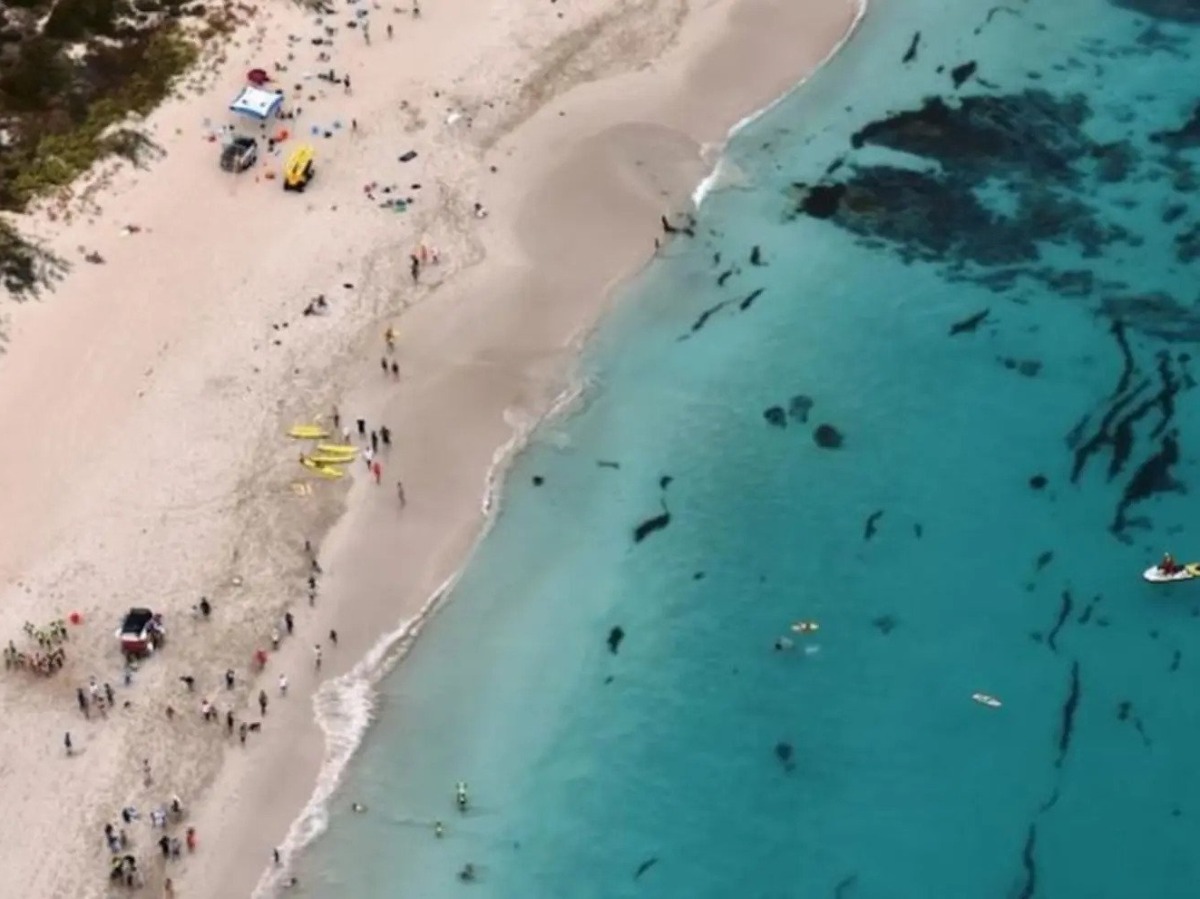 Man Drowns While Trying To Save His Teenage Sons At Australian Beach