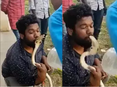 snake bites karnataka man