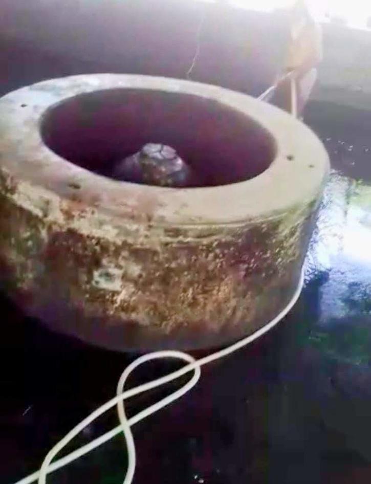 Shivling or fountain in Gyanvapi Mosque? /Zoom News