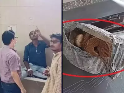 uttar pradesh Drunk man takes dead snake to hospital 