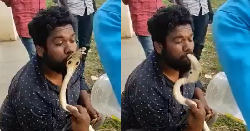 Karnataka Man Kisses Cobra, Gets Bitten On The Lip