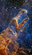 New James Webb Image Shows Off Star-Forming Region 