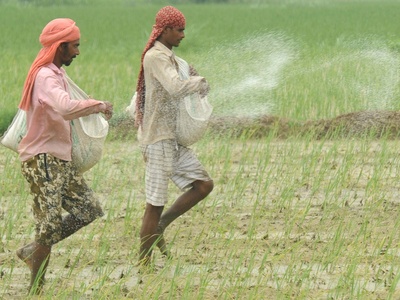 Fertiliser Consumption Of India