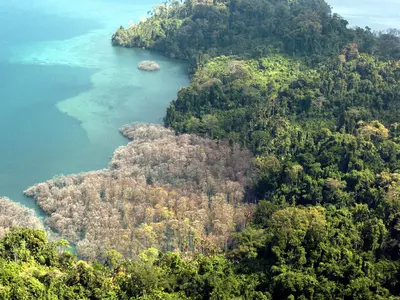 Andaman And Niicobar Islands