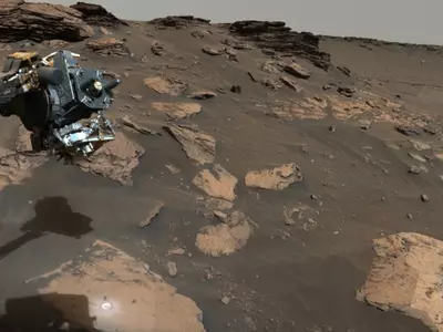 A Treasure Trove Of Organic Matter Found By Perseverance Rover On Mars