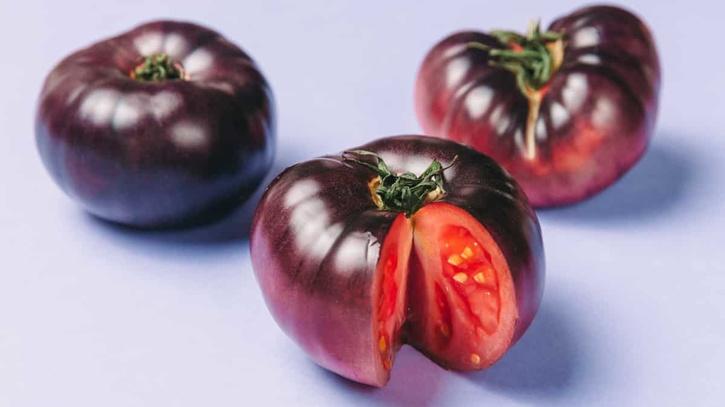  purple tomato