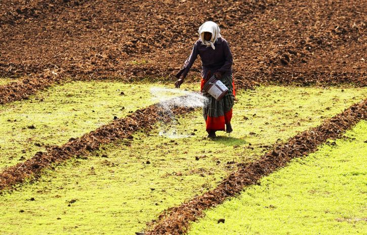 Explained Centres Move On Bringing All Fertiliser Products Under