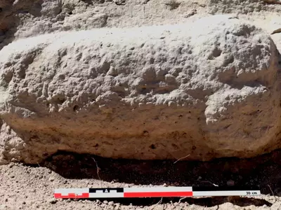 Largest-Ever Roman Penis Sculpture From Over 2,000 Year Ago Discovered In Spain