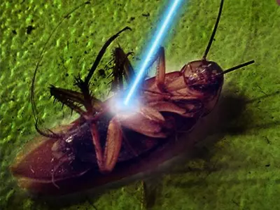 Scientist Creates An AI-Enabled Laser Shooter That Can Kill Cockroaches