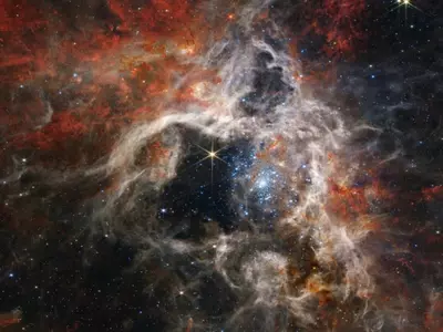 James Webb Telescope Captures Gorgeous Tarantula Nebula In Stunning Detail