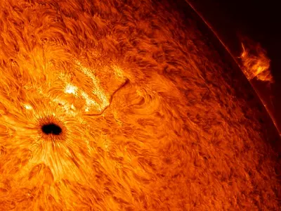 Two Massive Sunspots Are Changing The Way The Sun Vibrates
