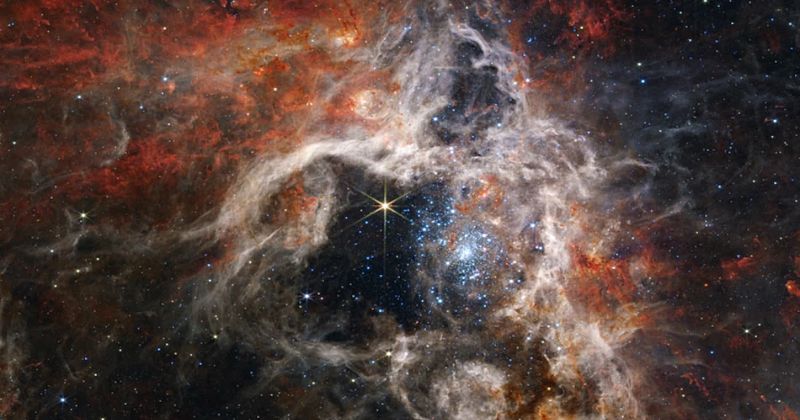 Il telescopio James Webb cattura la magnifica nebulosa Tarantola con dettagli sbalorditivi