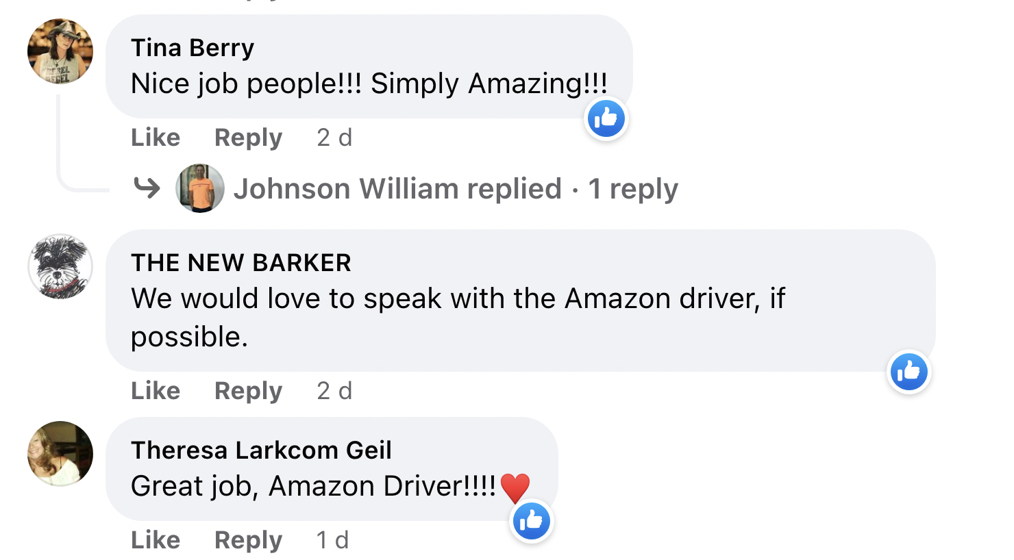 US Amazon Delivery Agent Hailed As Hero For Rescuing 3 Puppies From