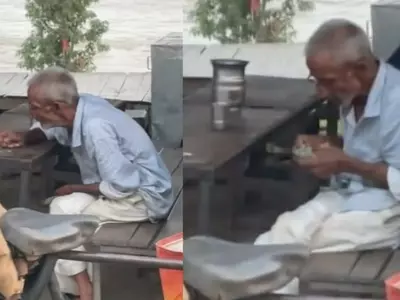 old man heartbreaking video