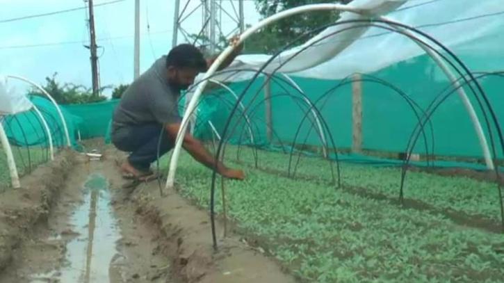 success story alok kumar farmer 