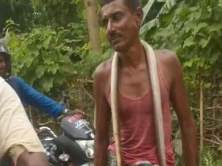 Bitten By Snake, Odisha Man Hunts A Cobra, Bites It To Death