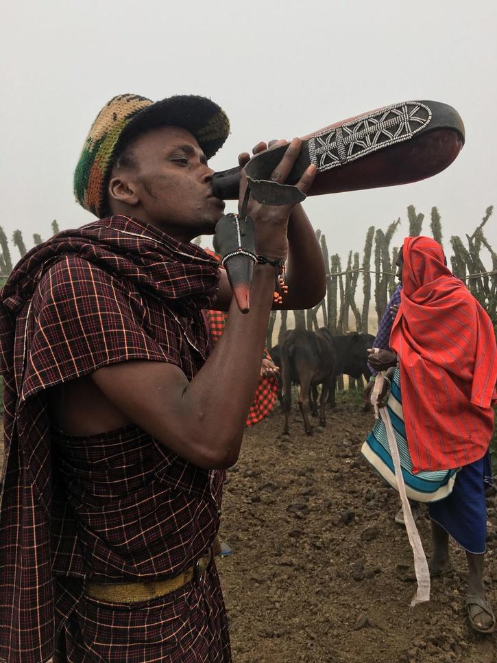 Maasai community africa worships cow and eats beef 