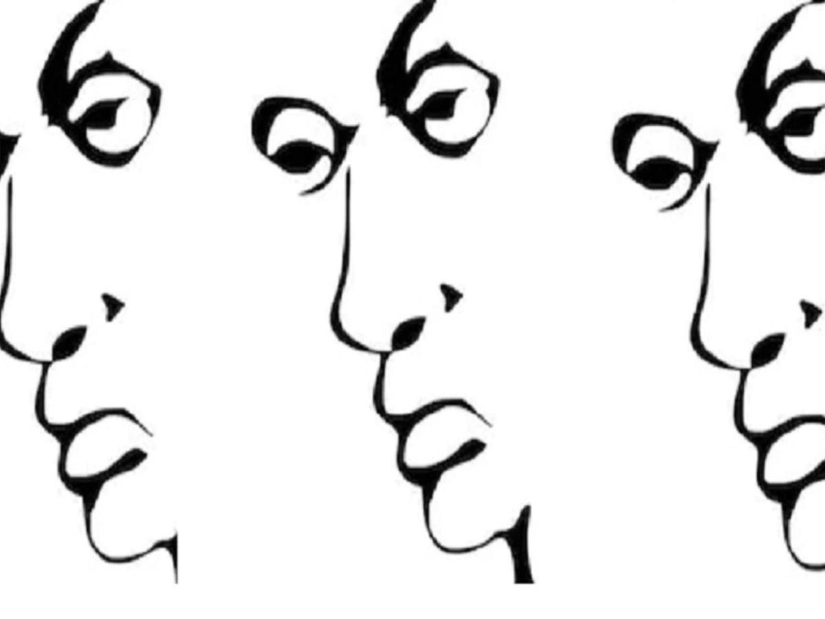 optical illusion faces changing