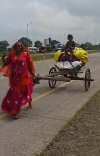 MP woman pulls bullock cart with hands viral video