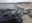 whale stranding australia beach hundreds dead 