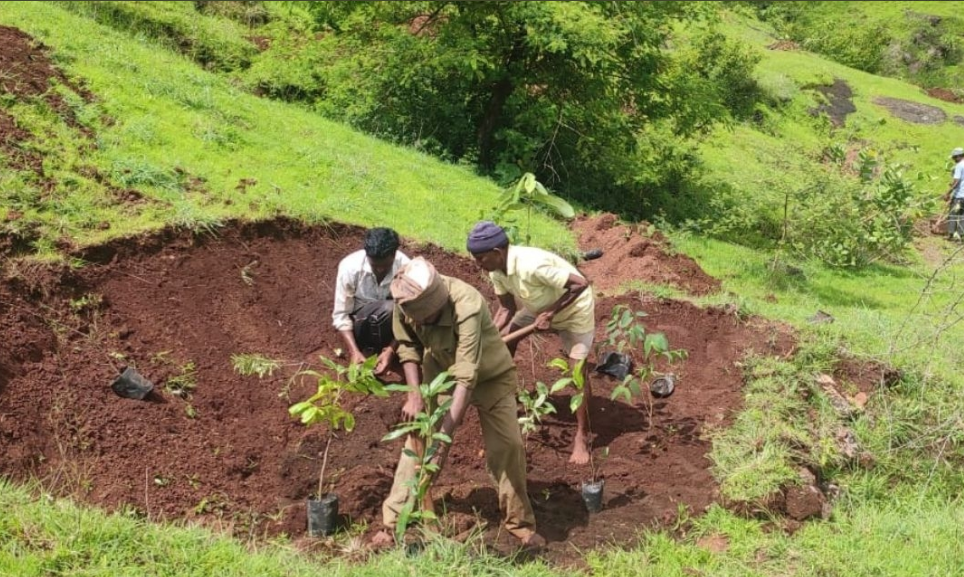 Villagers Trying To Convert Barren Land Into A Forest